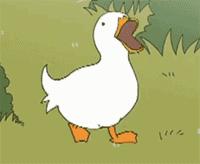 防城港的鸭子，为什么怕“七月十四”？