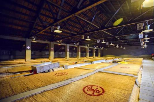 简装版绿苏,绿苏简装版评测