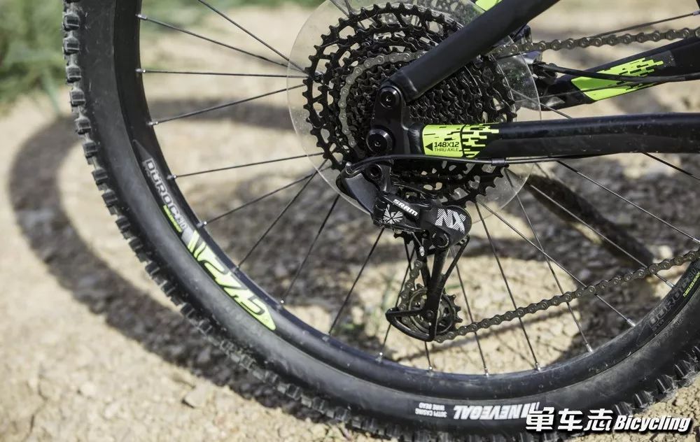 迪卡侬软尾am100s测评,polygond7和迪卡侬am100s