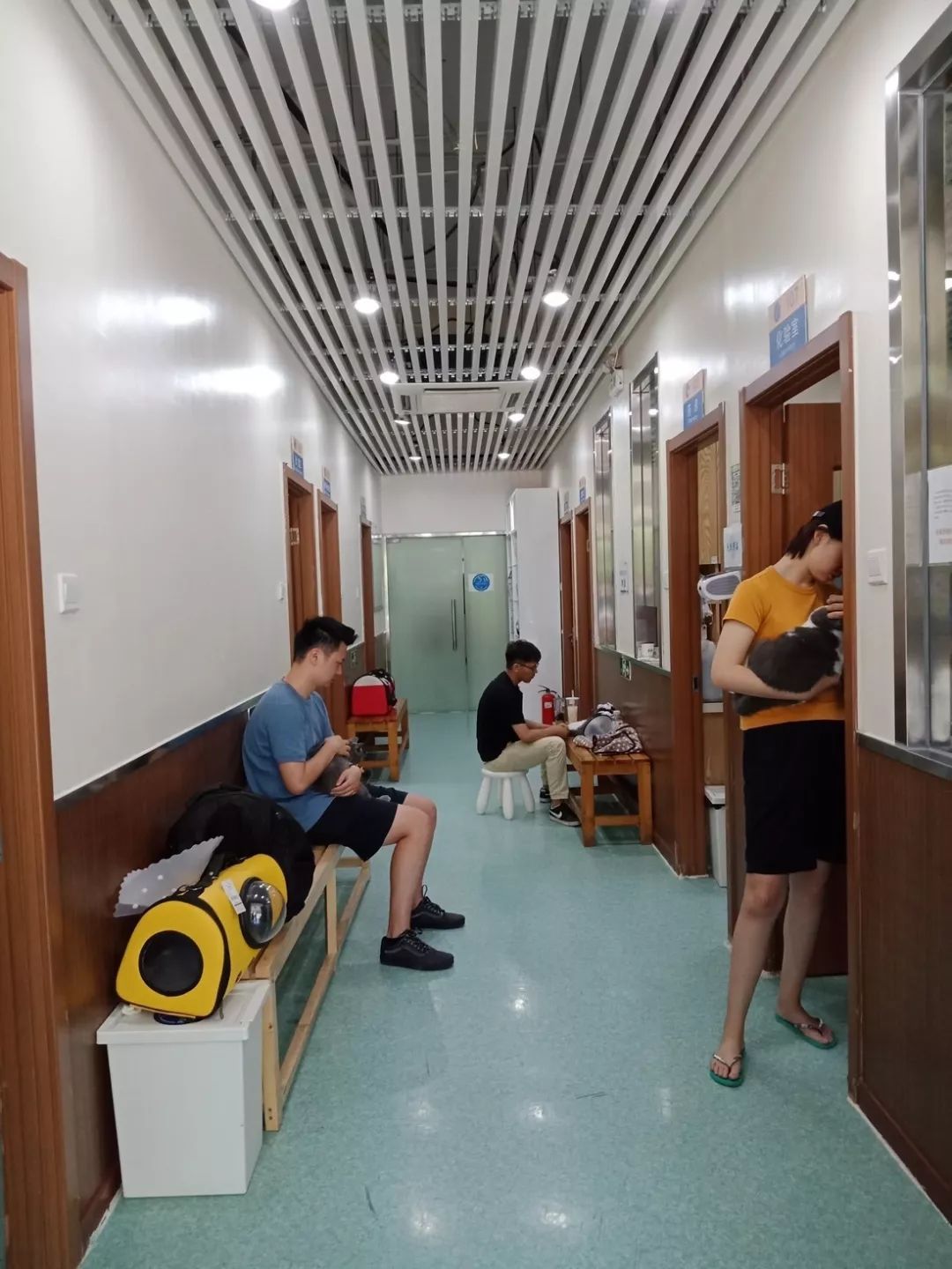 鍖椾含鍔ㄧ墿鍖荤敓,鍖椾含鍔ㄧ墿鍖诲涓撲笟