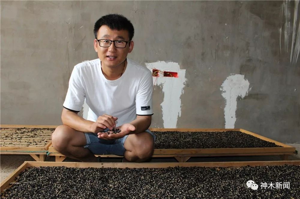 90后小伙子带村民致富,90后小伙带领全村人致富后续