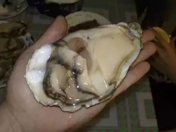 提醒吃海鲜的人们,广西开海节吃海鲜