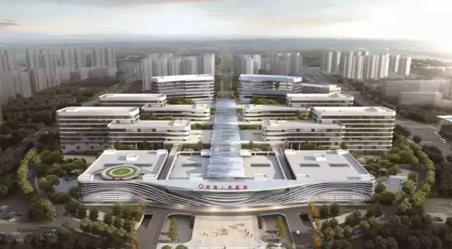 洛阳10个好消息,洛阳有什么好消息