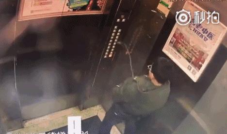 保时捷女司机的道歉到底证明什么,保时捷女司机最后怎么了