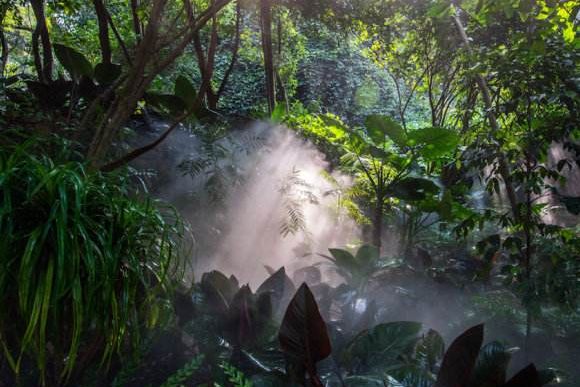 厦门五天四夜游玩攻略,三天三夜游厦门超详细攻略