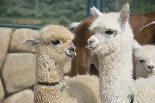 开学季福利大放送,开学季亲子陪伴