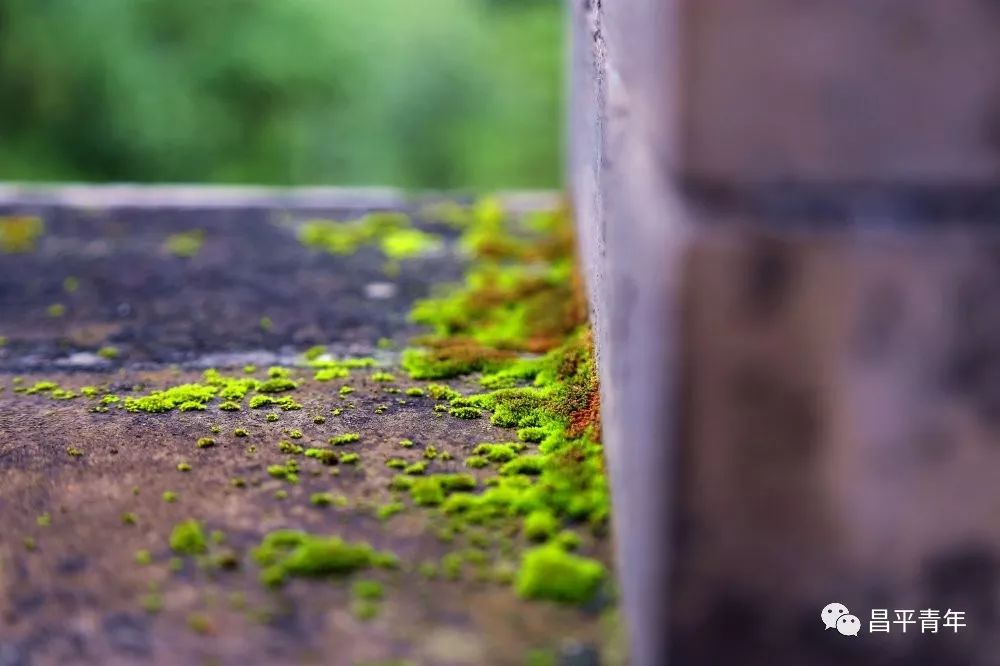 明十三陵没有发掘参观看什么,探秘明十三陵中央十台