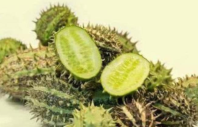 古代的水果跟现在的水果对比,古代的水果长啥样