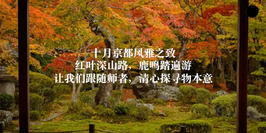 椋庨泤涔嬭嚧,鏃ユ湰浜兘鐢熸椿缇庡