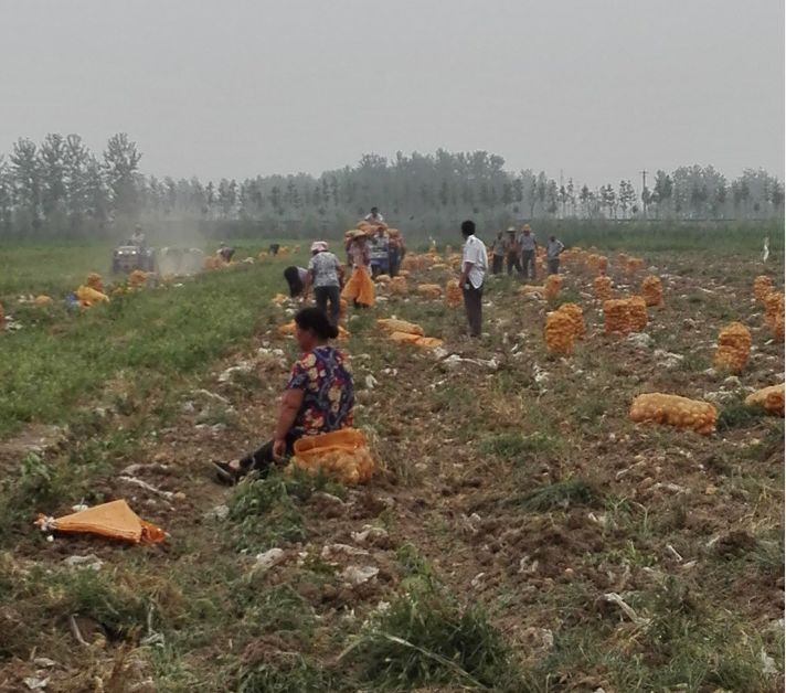 农村脱贫攻坚新面貌,贫困村的新面貌