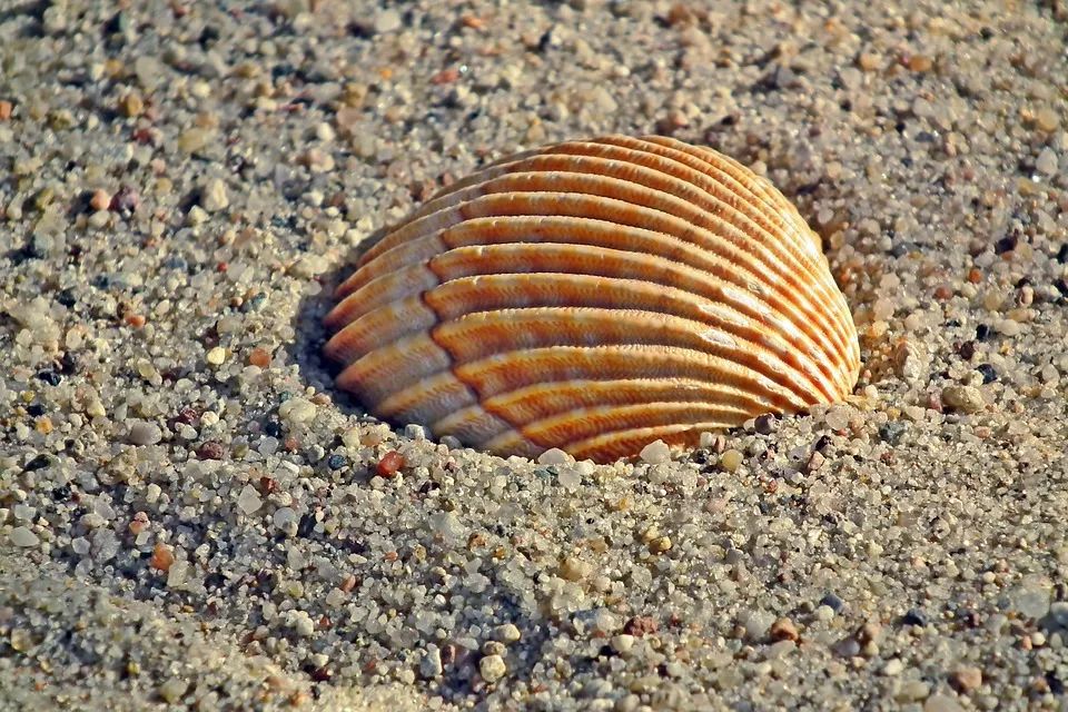 全国结婚人数再创新低,全国结婚率数据连续下降