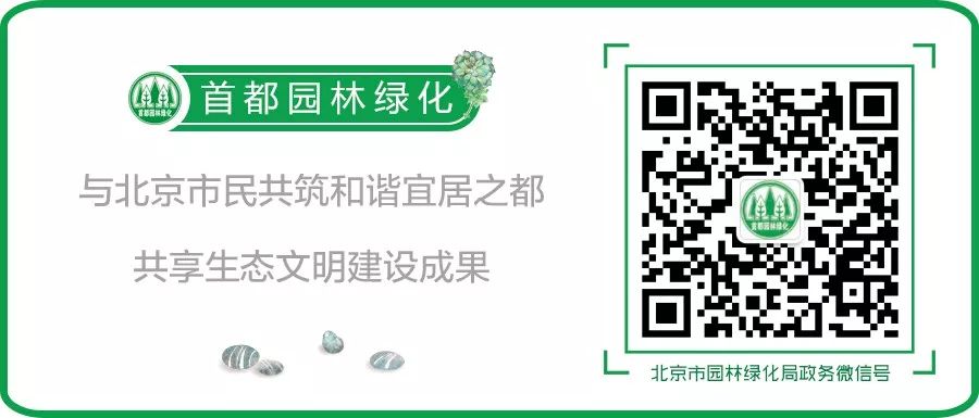 科普水果蔬菜知识,科普水果桃子