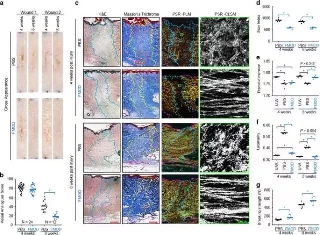 angelababy的早期ins,ins上的angelababy视频
