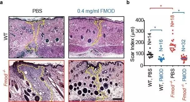 44岁的她竟睡服半个娱乐圈，被亿万直男跪舔！遭小S妒忌十年：凭什么