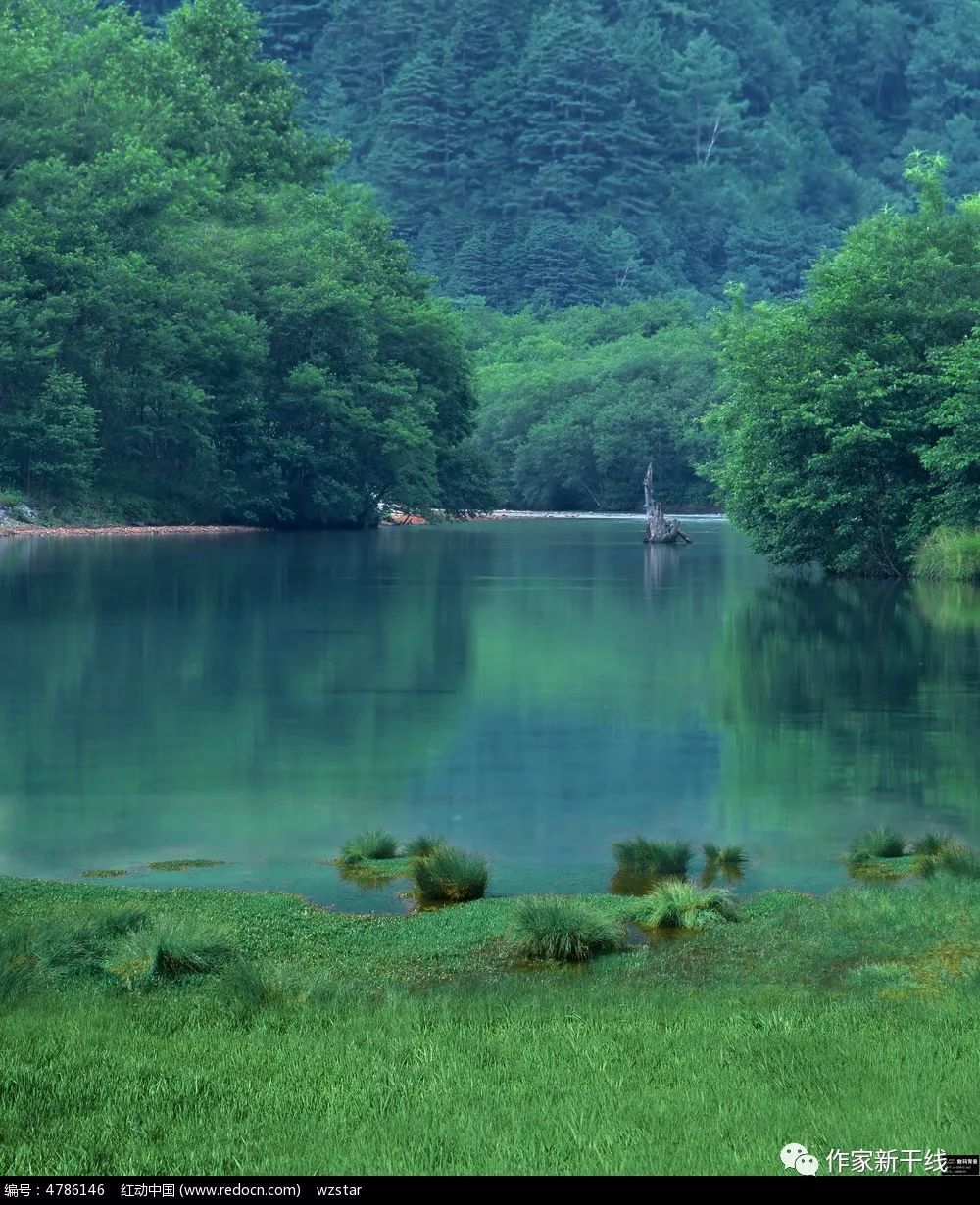 「美文选萃」海苔|唠叨的背后