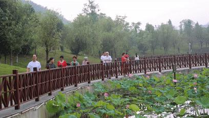 绿水青山盘火宁乡避暑经济