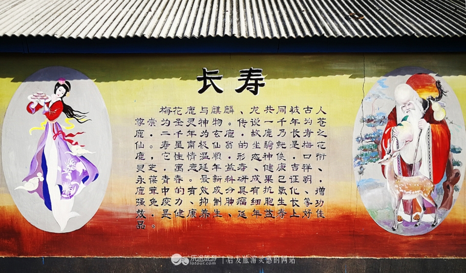 来到吉春制药，才饮“鹿司令”，又尝“太后餐”