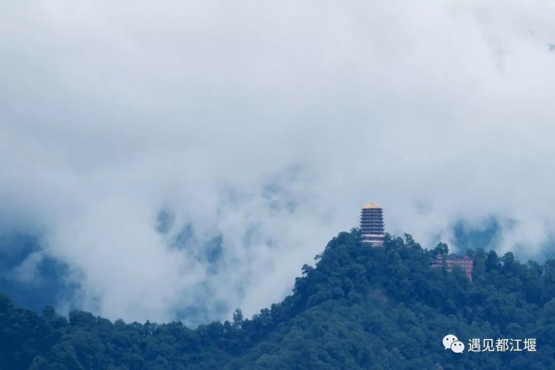 青城山可以去学习吗,四川在青城山的大学