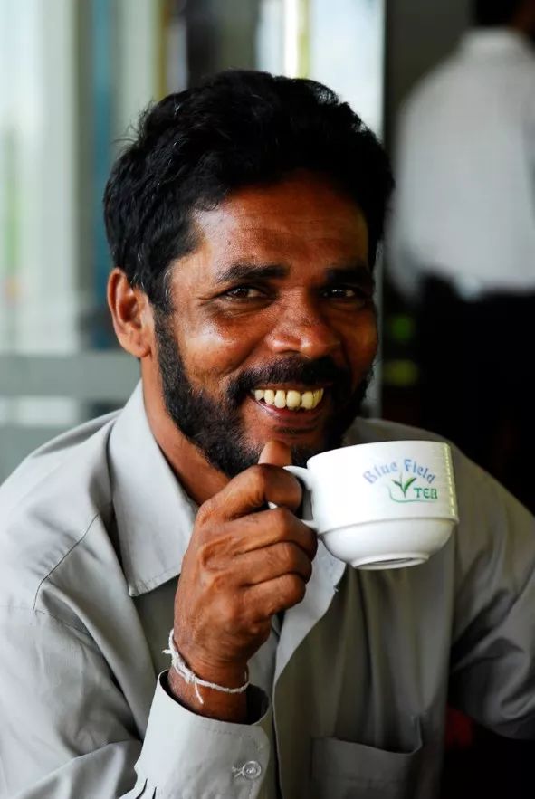 宸¤鑻辨枃,宸¤涔嬫梾