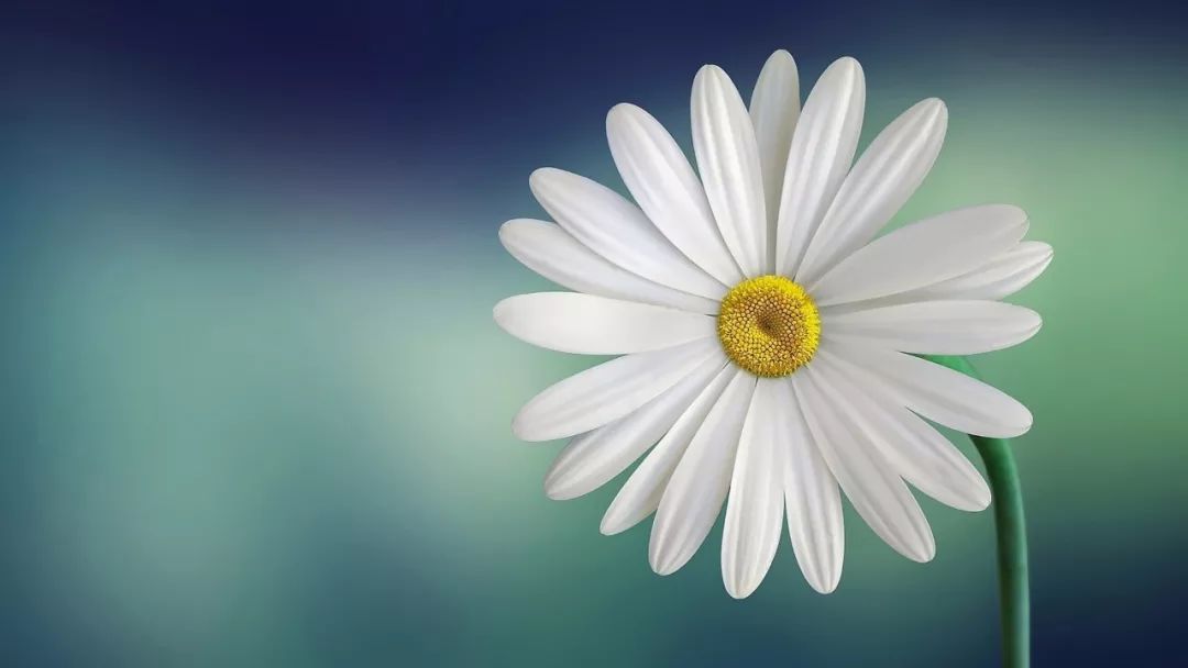 二年级摘抄排比句100条,排比句气势如虹