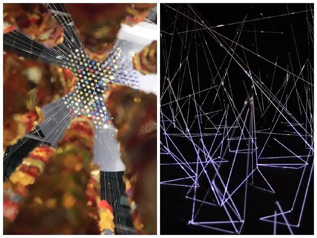 在德国自驾攻略,德国自驾攻略注意事项是什么