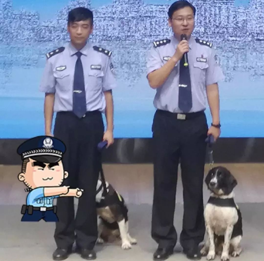 公安局进家门宣传防诈骗,公安反诈进社区宣传日