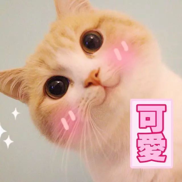 川大学习日常,川大的食宿条件