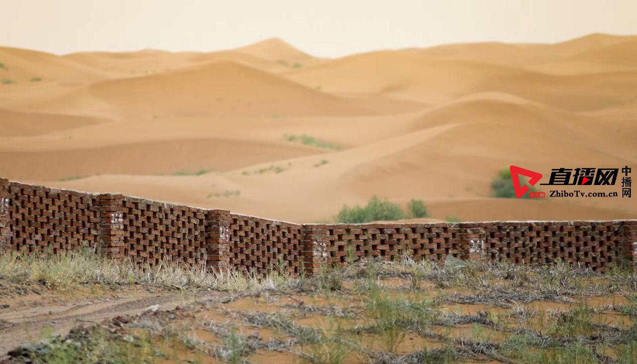 麦草方格里的中国治沙奇迹-中国“沙漠铁路”中卫工务段固*林沙**场治沙播绿纪实