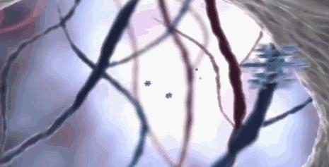 一款美白无敌的牙膏,美白黄牙烟渍最好的牙膏