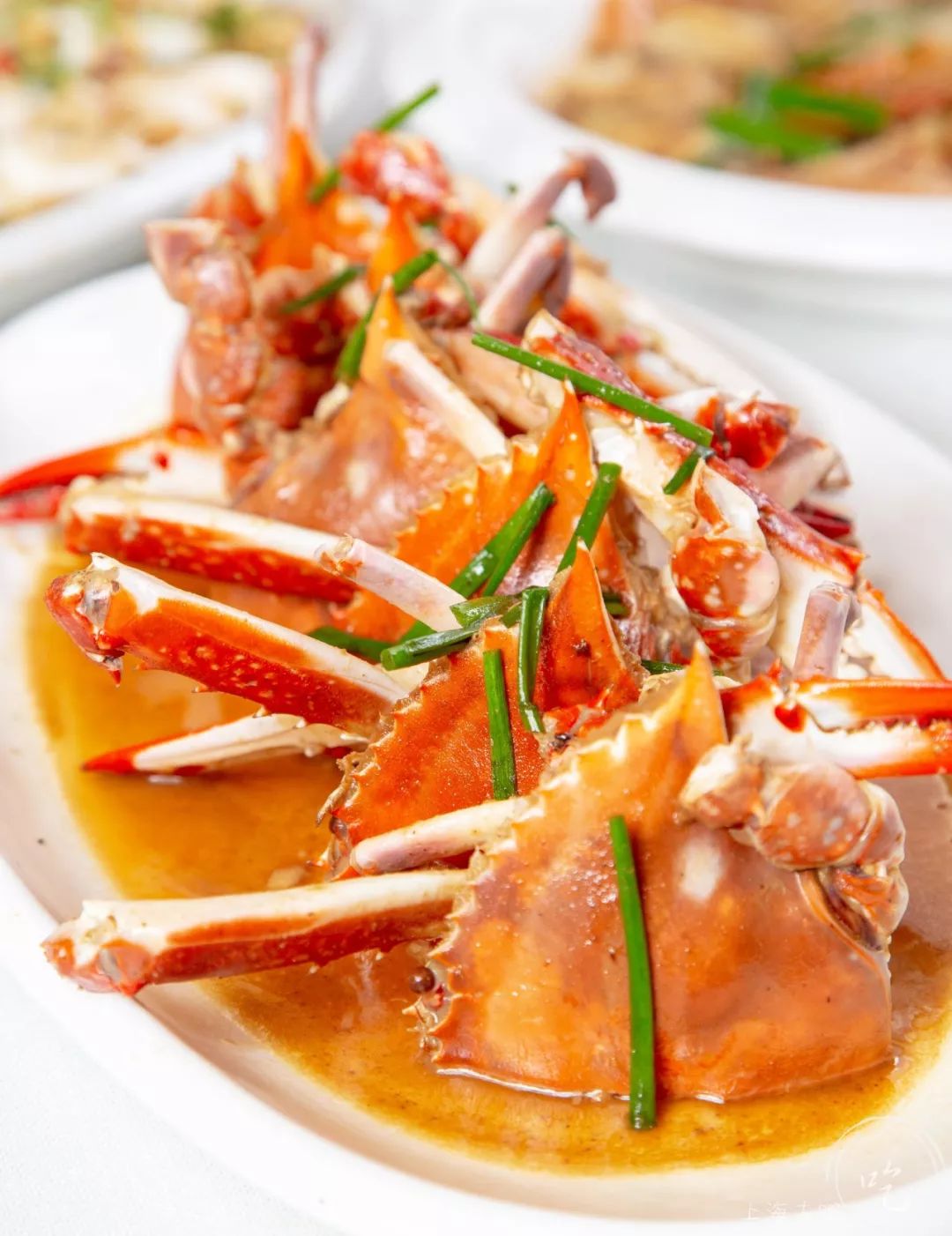 东海开渔第一网！20年本帮菜大佬开卖小海鲜，人均只要100+