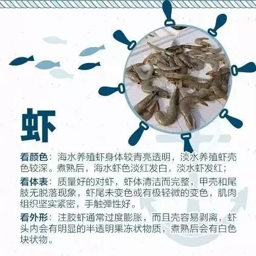 开海买海鲜攻略,开海了一般市场海鲜什么时候便宜