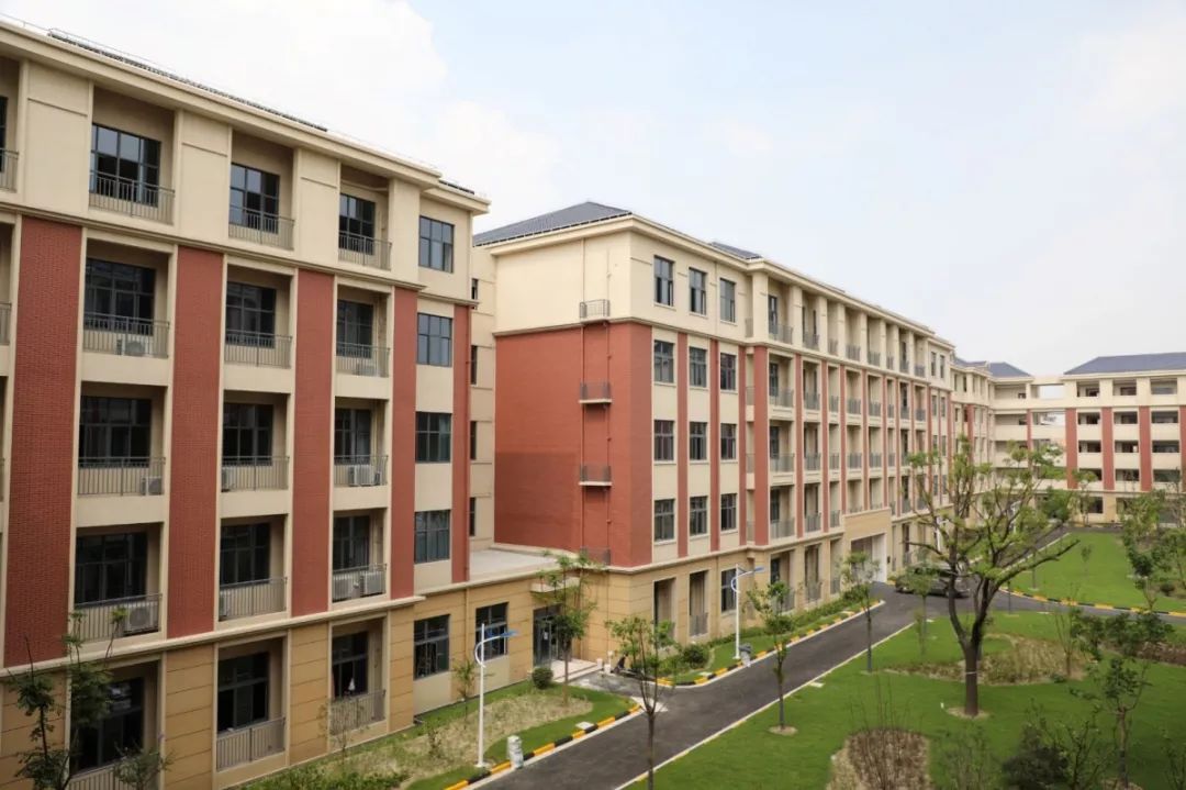 今秋投用9所新校,多所学校将迎来新变化