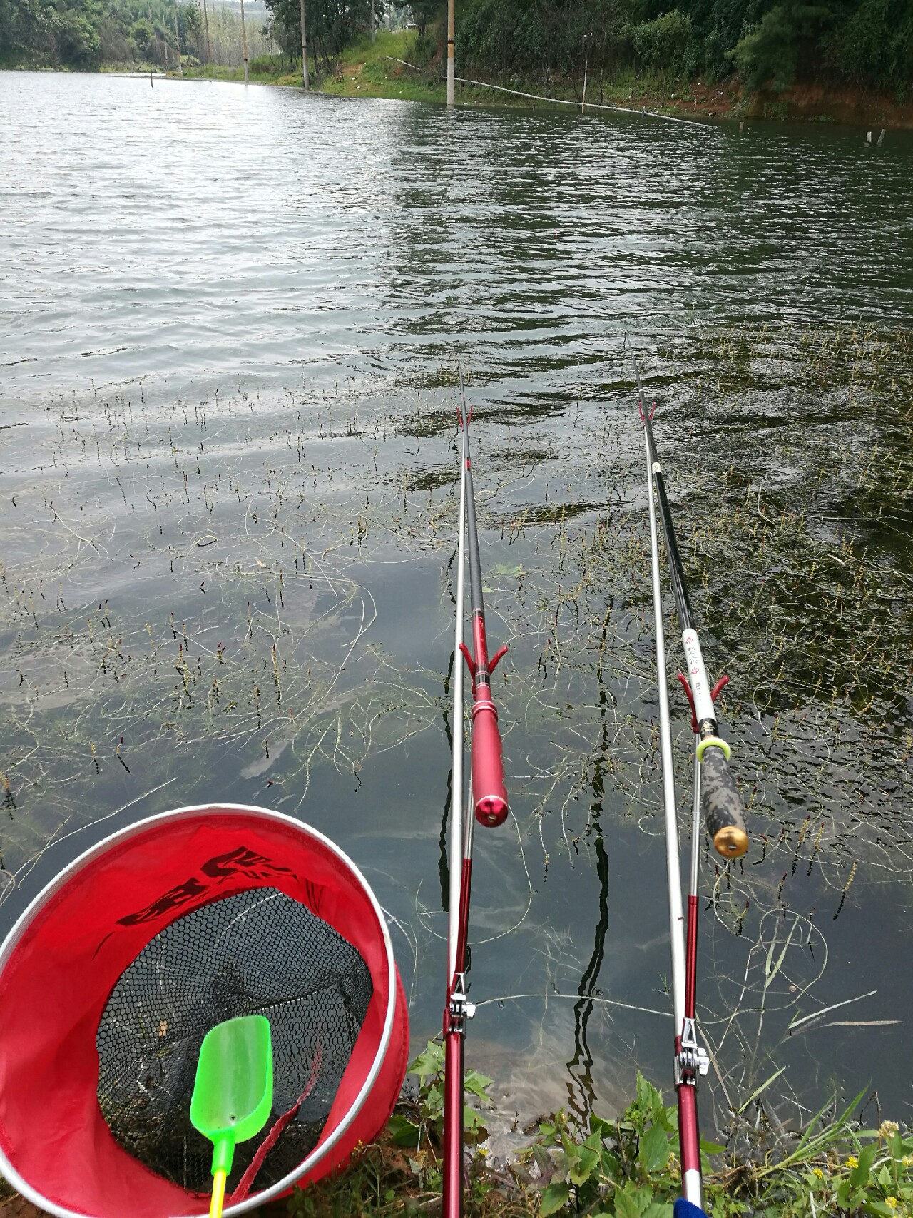 钓鱼爆护口诀100句,为钓鱼付出过哪些努力