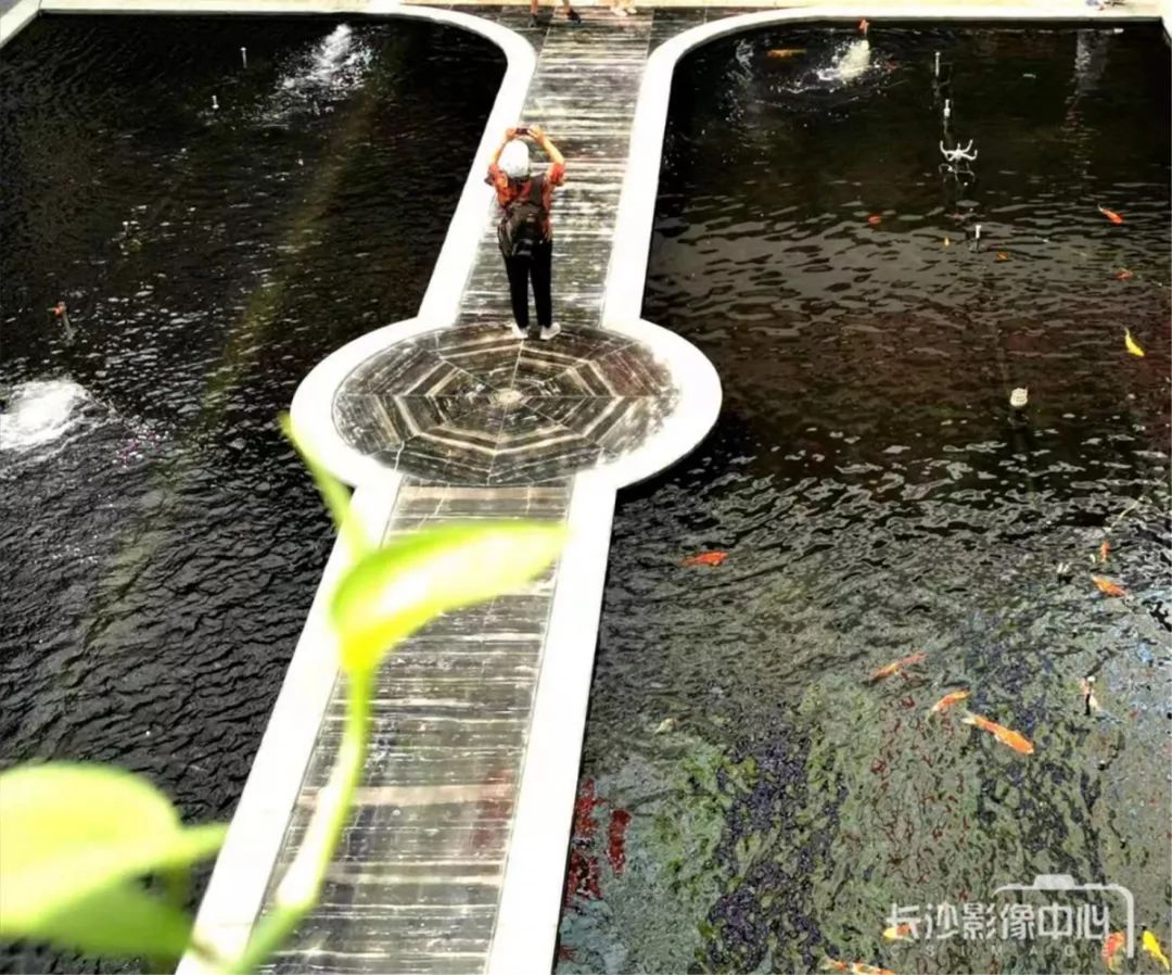 湖南非遗手工,浏阳非遗文化传承