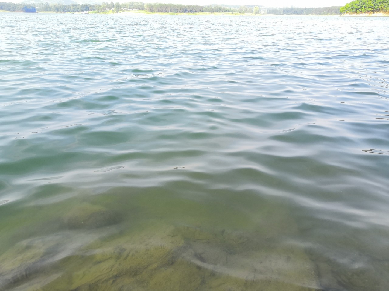 花钱钓鱼鱼可以拿回去吗,钓鱼珍惜资源才是王道