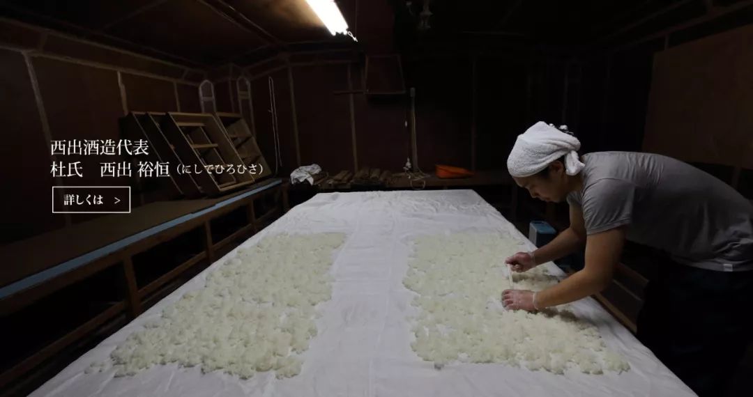 美食推荐新菜上新,四季新京菜推荐菜