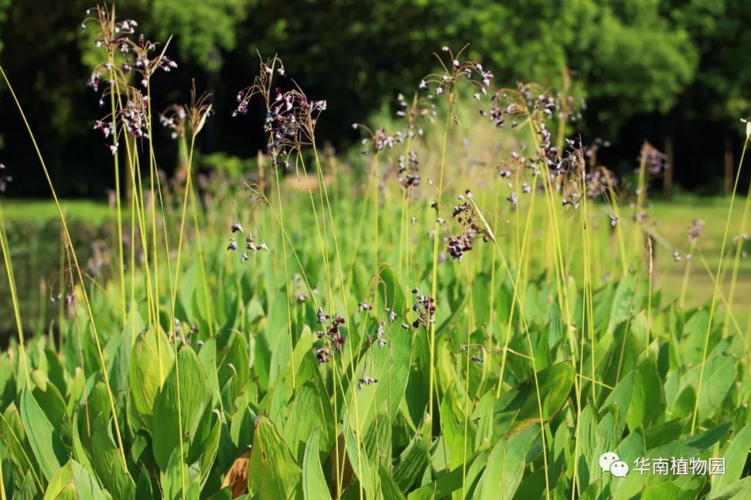 鏂扮煡鏂拌В,鏂扮煡鏂拌