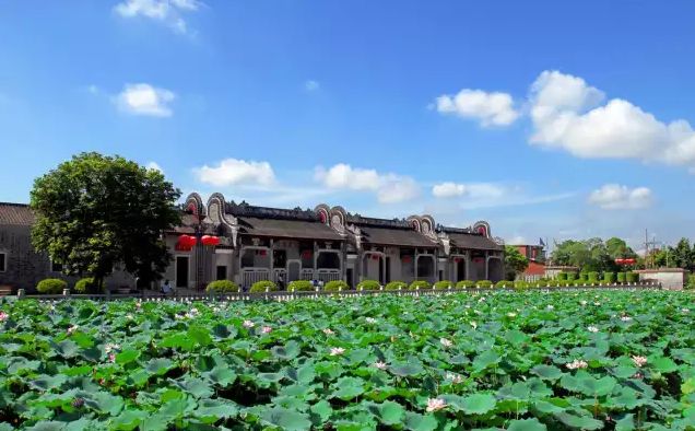 权威发布|这样的花都，太上头了！