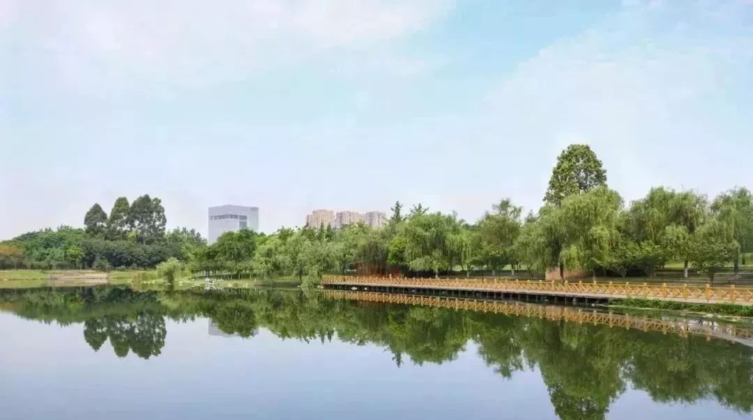 回归大自然呼吸天然氧吧,回归大自然清新空气