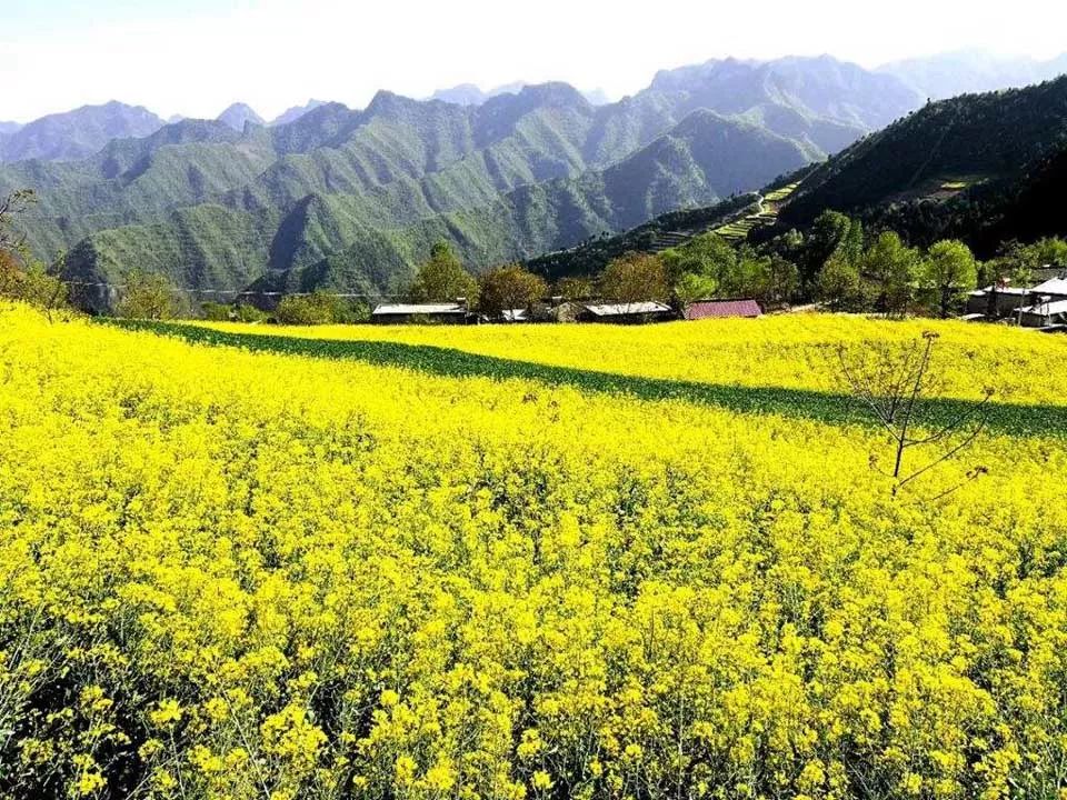 杜甫逃窜,杜甫入成都