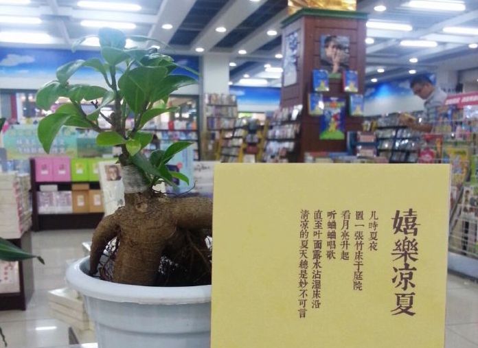 深夜读书的书店有哪些,到书店看书享受一份难得的宁静