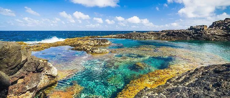 秋天来临前的预兆,秋天来临之前