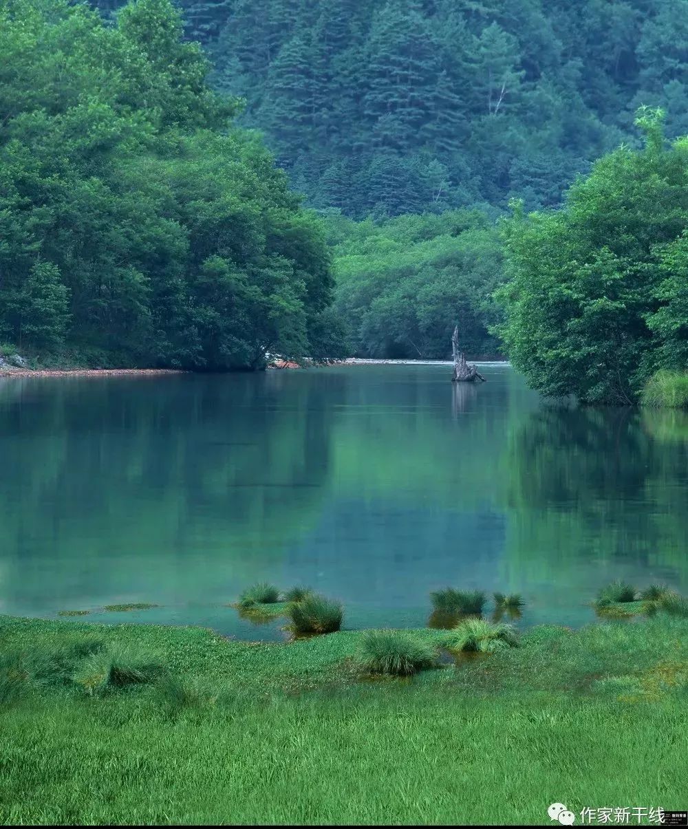 缇庢枃閫夎悆,缇庢枃閫夌补浣冲彞