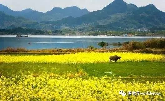广西今日头条地址,广西有哪些头条自媒体