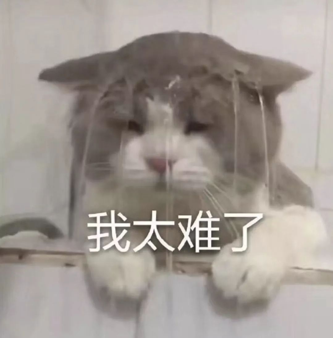 为什么感觉留学好难,2022年去韩国留学越来越难