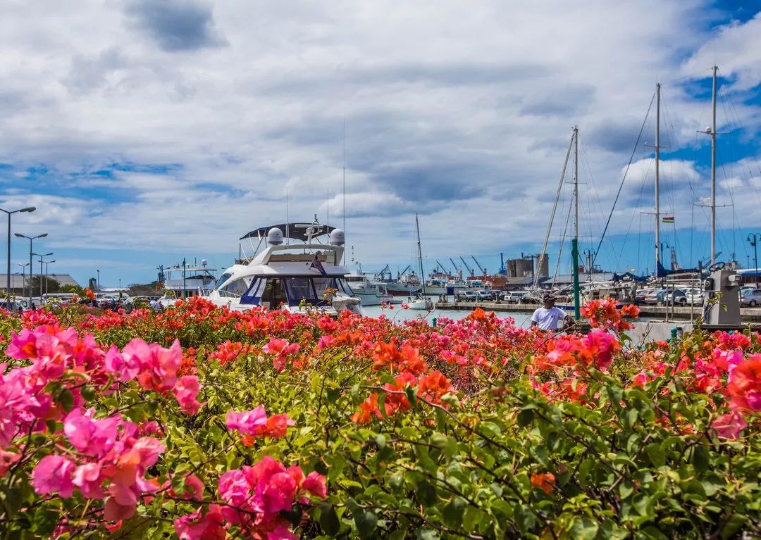 毛里求斯怎么玩攻略已写好,毛里求斯的基础知识