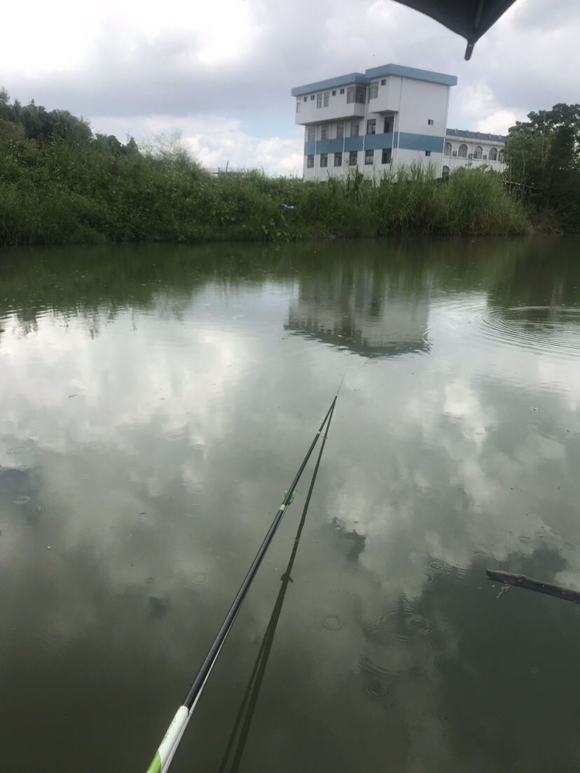 钓罗非防小罗非闹窝,钓罗非怎么避小罗非闹窝