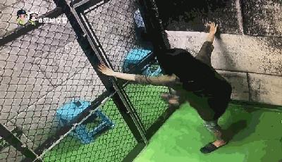 违章超5条驾照被扣继续驾车,驾驶员连续开车超4小时怎么处罚