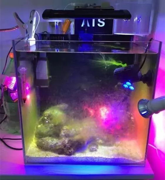 40方缸用背滤,小尺寸背滤