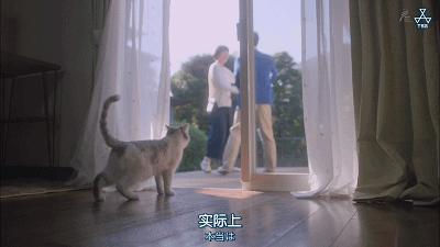 这部“变态”日剧,早该让我妈看了...